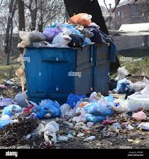 Best Yard Waste Removal  in Vail, CO